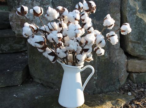 faux cotton stems|More.